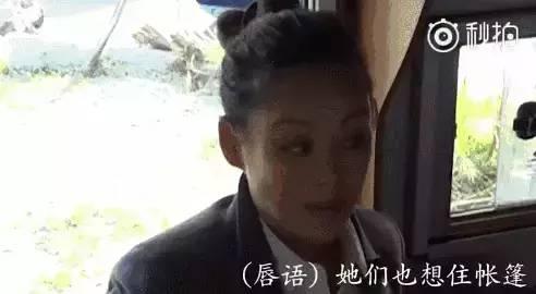 娱乐吃瓜是真是假啊