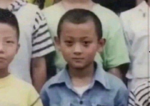 娱乐圈吃瓜楼4,揭秘明星幕后故事，带你走进娱乐圈的真相世界