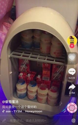 抖音网红迷你冰箱,网红神器引领家居潮流新风尚