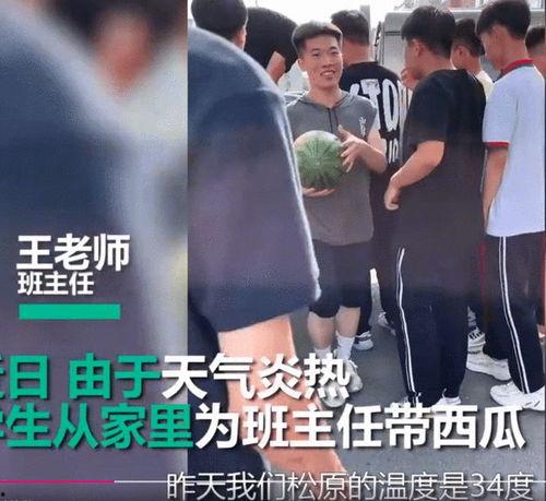 吃瓜老师视频,短视频中的趣味教学与生活智慧