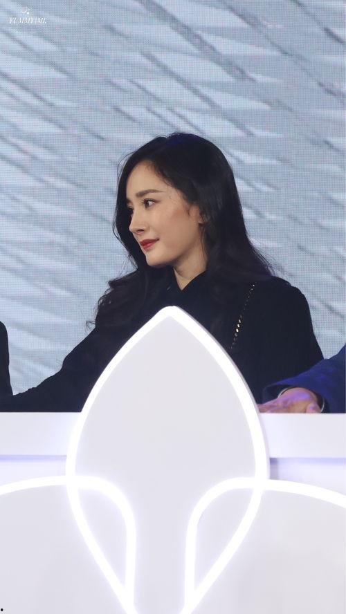 现实明星的小说,现实明星的梦幻爱情故事