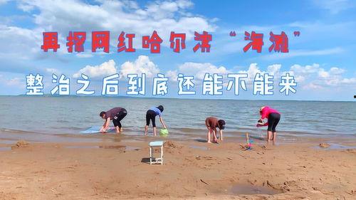 哈尔滨网红沙滩,夏日里的碧海蓝天，邂逅浪漫时光