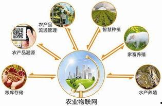 农业物联网今日头条,开启智慧农业新时代的科技引擎