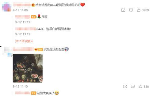 吃瓜查看视频,吃瓜群众视角下的视频盛宴