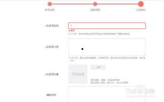 今日头条赚钱在哪里注册,揭秘注册赚钱的便捷途径