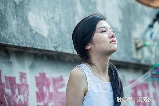 带春的香港明星,春意盎然的香港明星风采