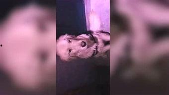 木木吃瓜视频,揭秘娱乐圈幕后故事