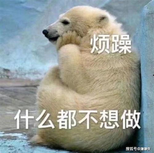 吃瓜图片动态图,吃瓜图片动态图趣味盘点