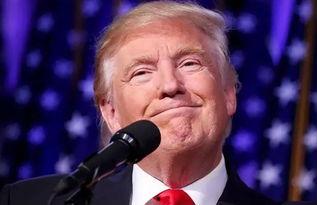 丁震吃瓜,揭秘娱乐圈背后的那些事儿