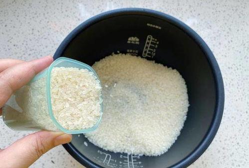 早餐网红饭盒怎么做,轻松打造美味早餐新时尚