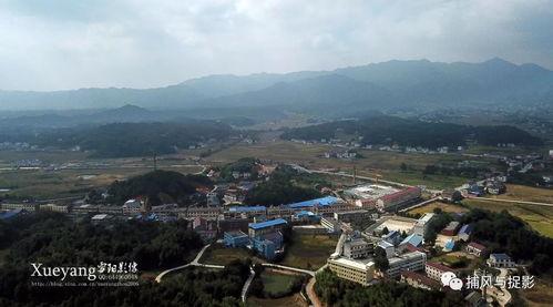 芒山镇大洋村新闻头条,新闻头条聚焦乡村振兴新篇章