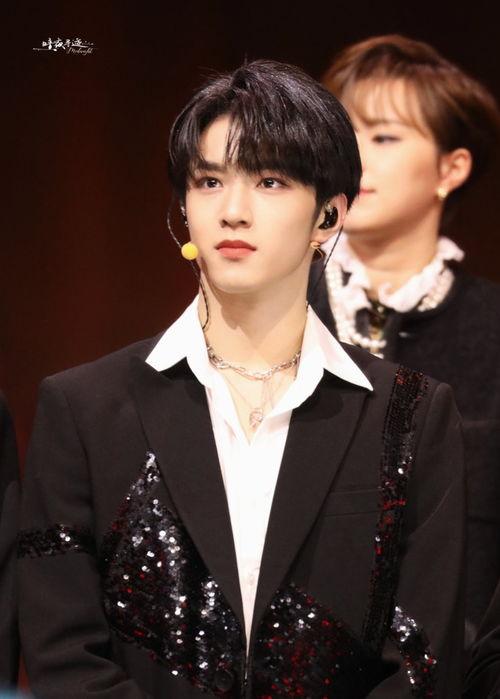 明星wcgg文,揭秘明星背后的真实故事