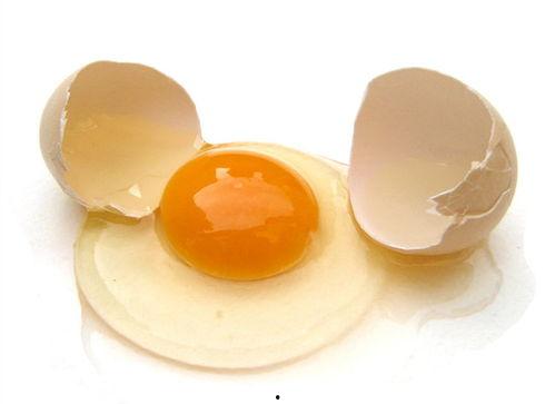 网红上课视频吃鸡蛋,趣味吃鸡蛋教学，轻松学习两不误