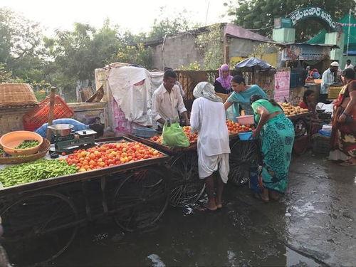 印度农贸市场新闻头条,最新动态与热门话题速览