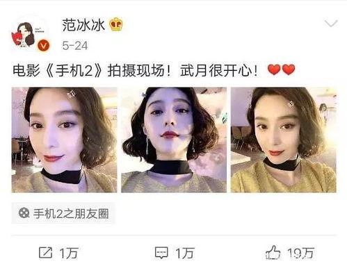 娱乐圈吃瓜崽是谁